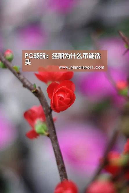 PG畅玩:经期为什么不能洗头(图3) PG平台