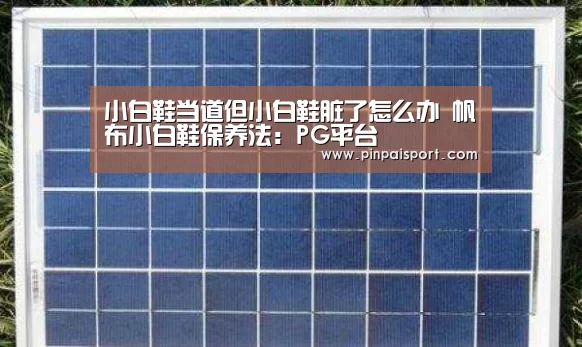 小白鞋当道但小白鞋脏了怎么办 帆布小白鞋保养法:PG平台(图1) PG游戏