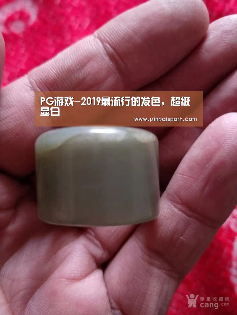PG游戏-2019最流行的发色,超级显白(图3) PG平台