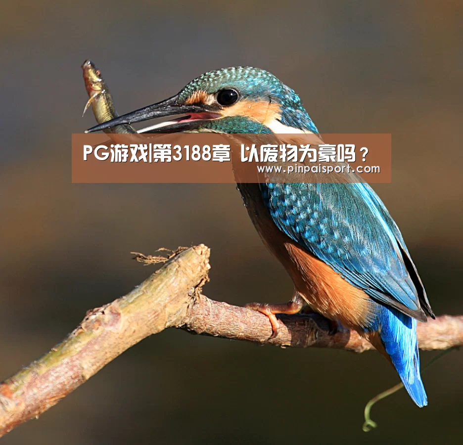 PG游戏|第3188章 以废物为豪吗？